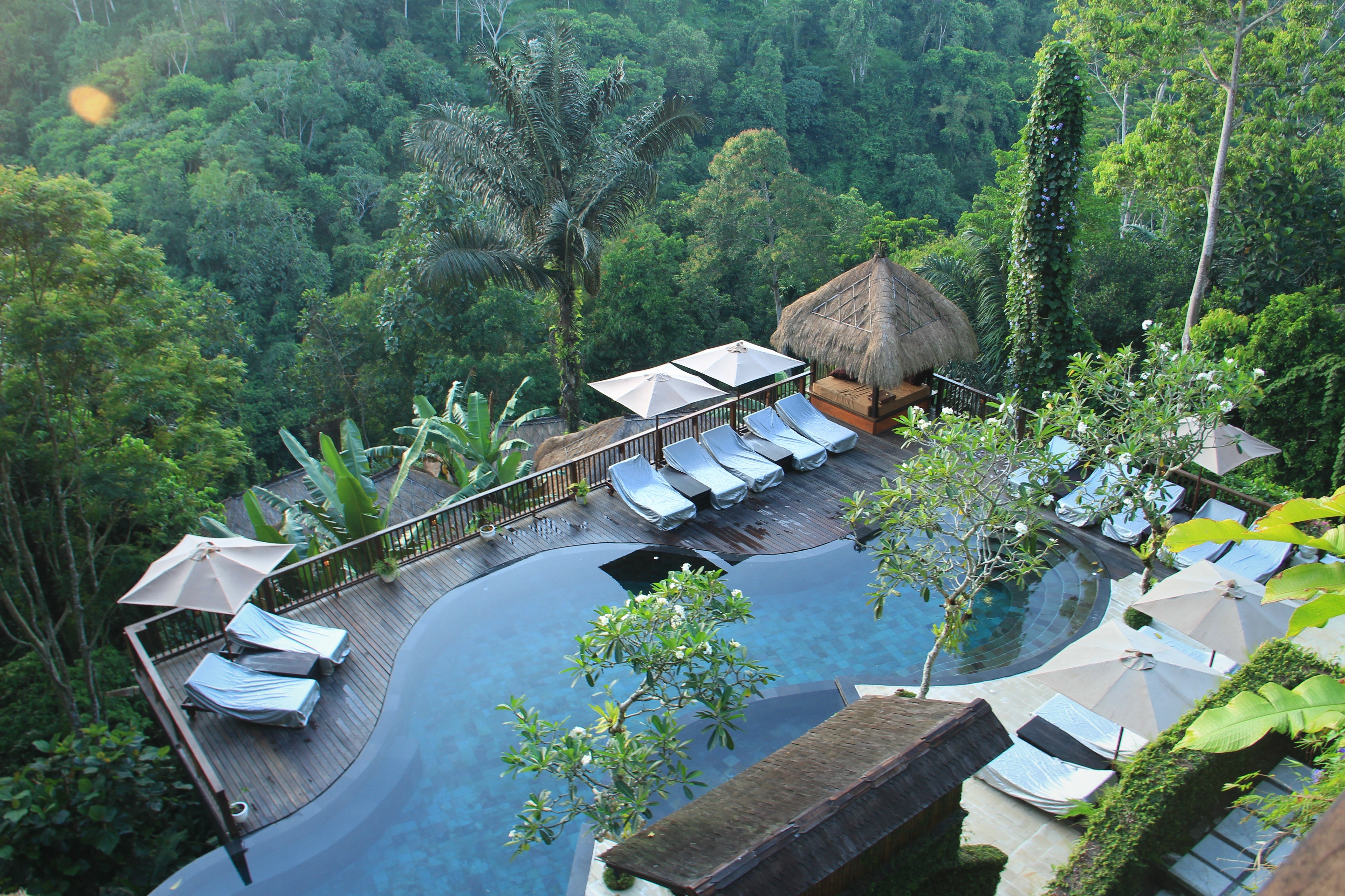 Luxury infinity pool overlooking lush Balinese jungle